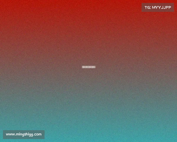 所有篮球赛事有哪些